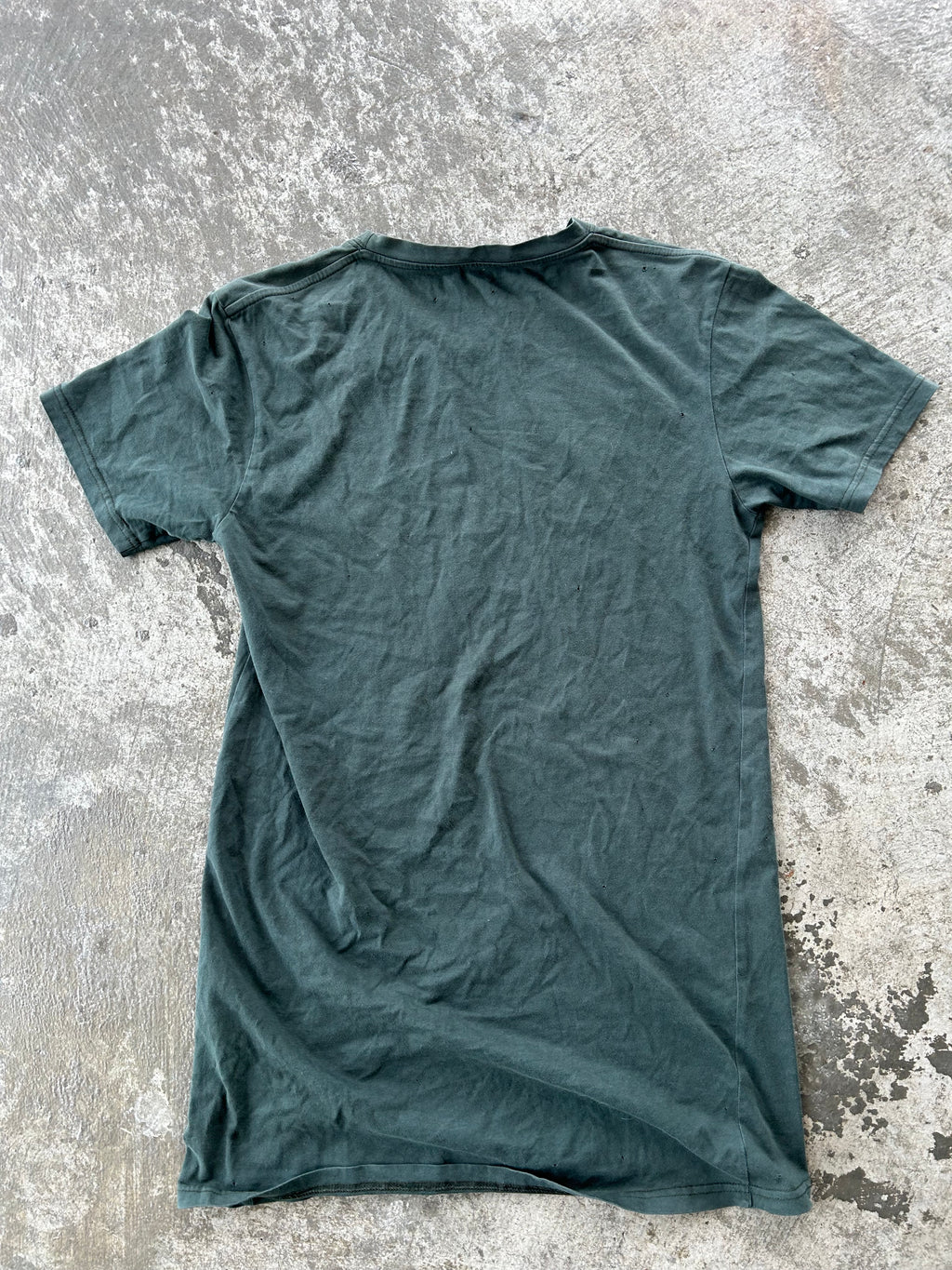 Balmain Homme SS11 Tiger T Shirt